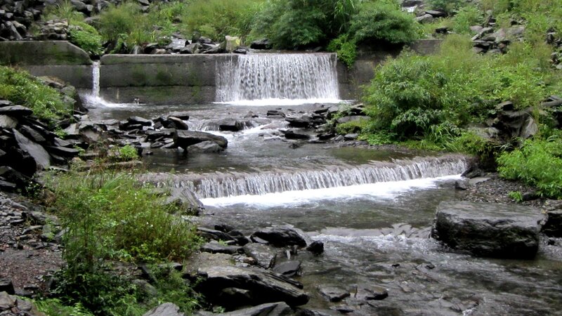 Small Waterfall in Stream — Green, Serene, Photograph, Rocks
