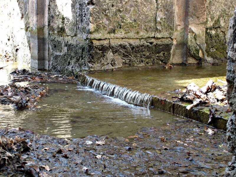 Small Waterfall in Stream