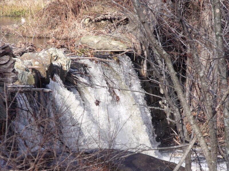 Small waterfall in wooded area