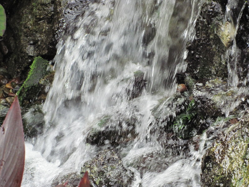 Small Waterfall on Rocks — Green, Calm, Photograph, Moss