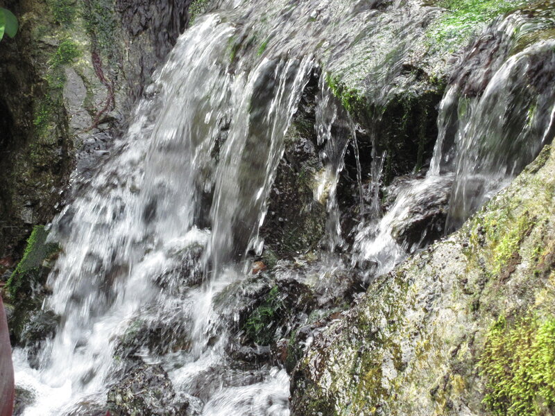 Small Waterfall on Rocks — Green, Calm, Photograph