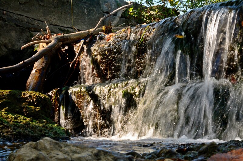 Small Waterfall on Rocks — Green, Serene, Afternoon