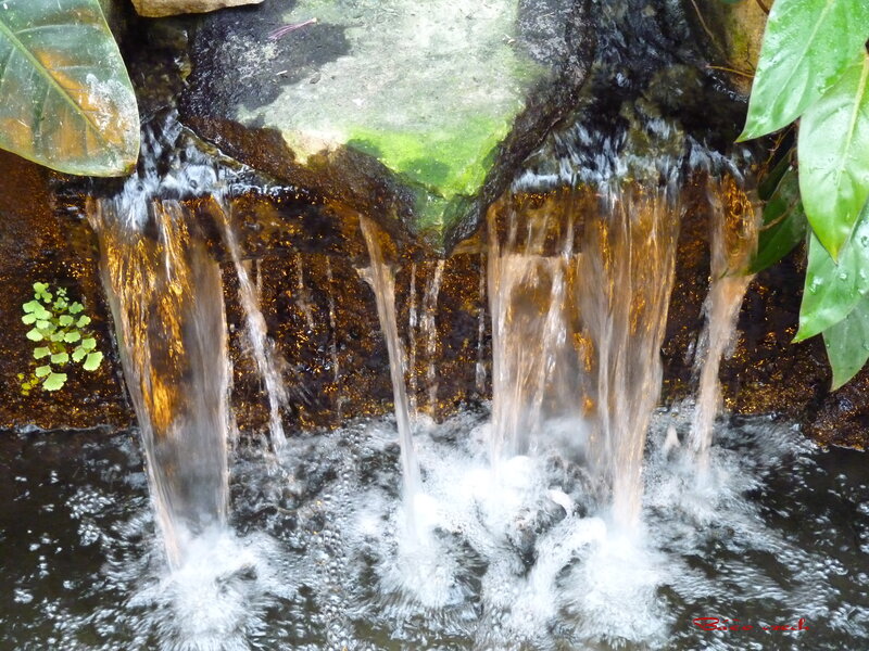 Small Waterfall on Rocks — Green