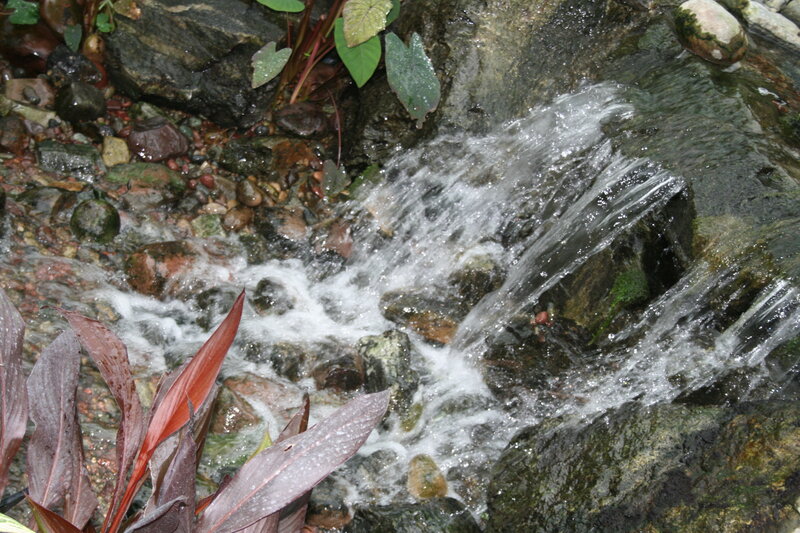 Small Waterfall over Rocks — Green, Calm, Photograph, Plants