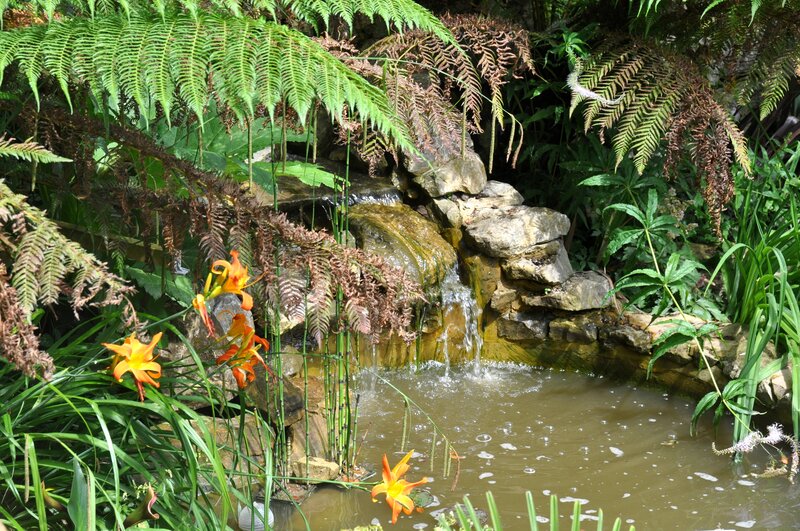 Small Waterfall Pond