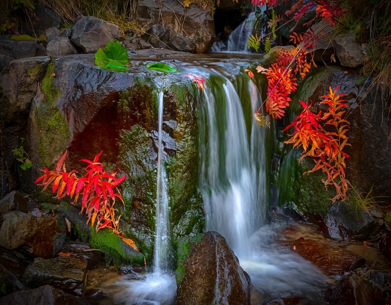 Small Waterfall with Autumn Leaves