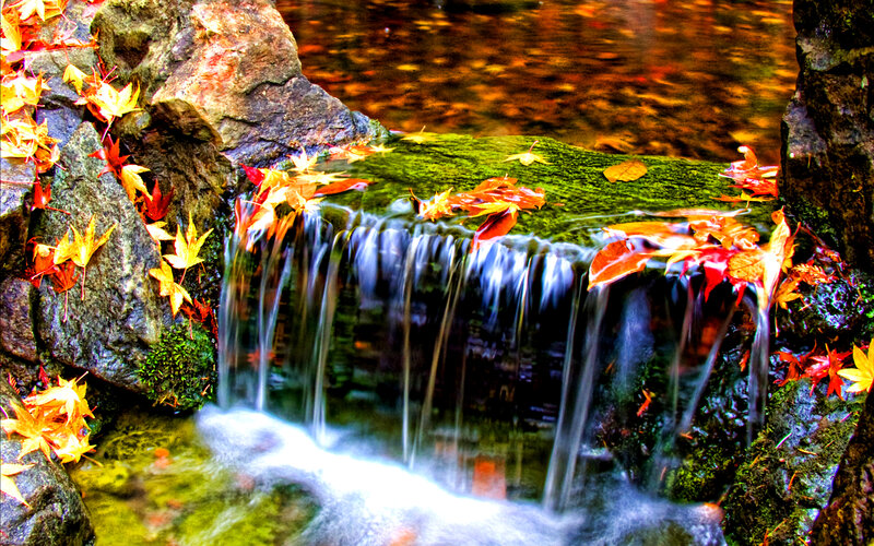 Small Waterfall with Leaves — Green, Serene, Autumn