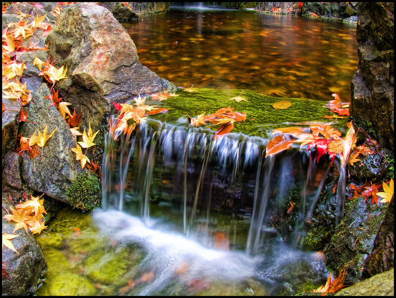Small Waterfall with Leaves — Green