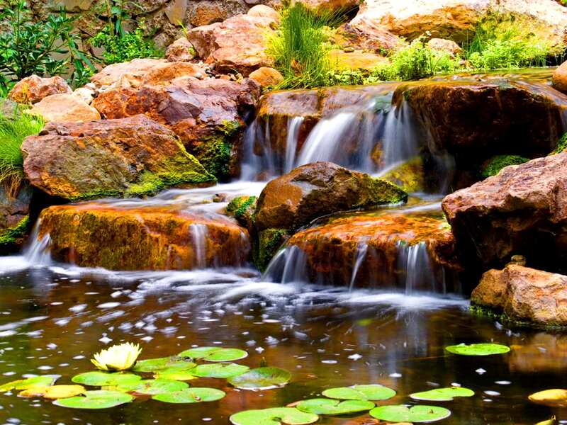 Small Waterfall with Lily Pads