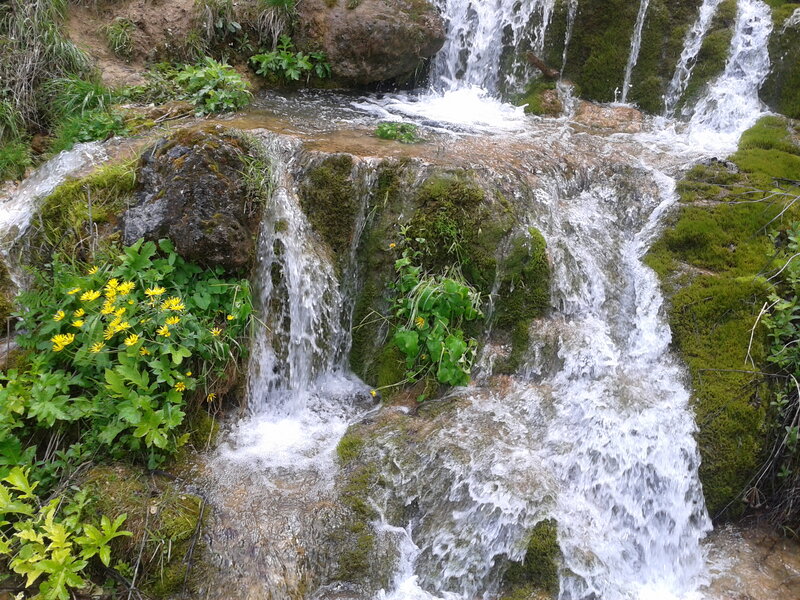 Small Waterfall with Moss