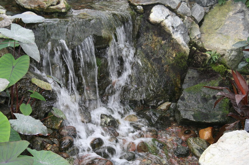 Small Waterfall with Rocks — Green, Serene