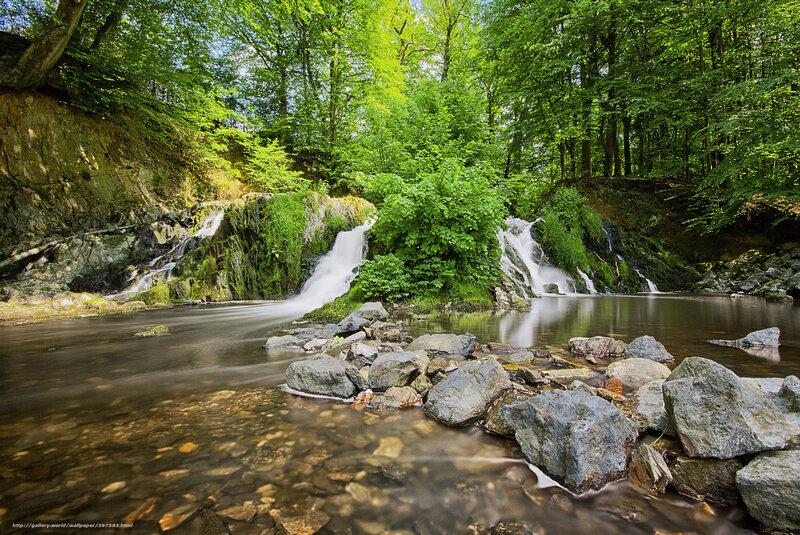 Small Waterfalls in Forest