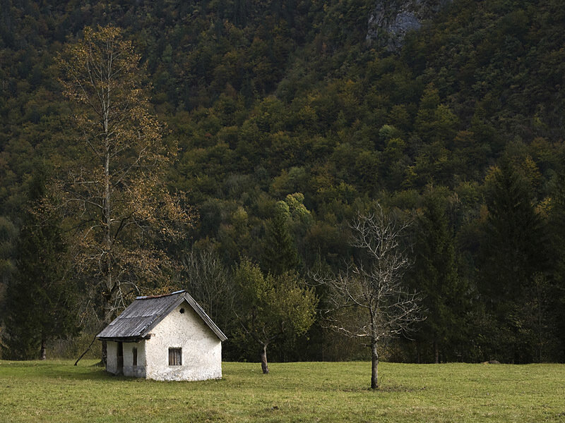 Small White Cabin in Field