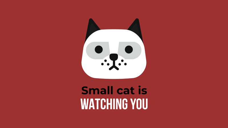 Small White Cat