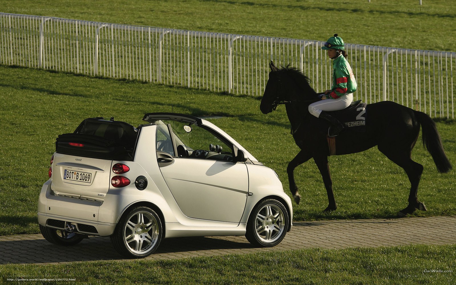 Smart car and horse at racetrack
