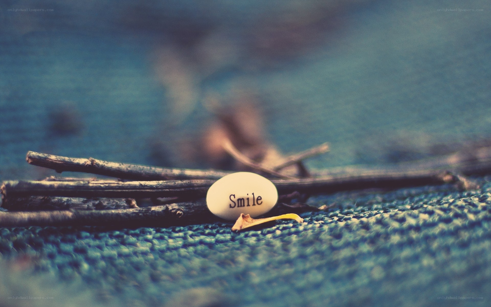 Smile stone on twigs