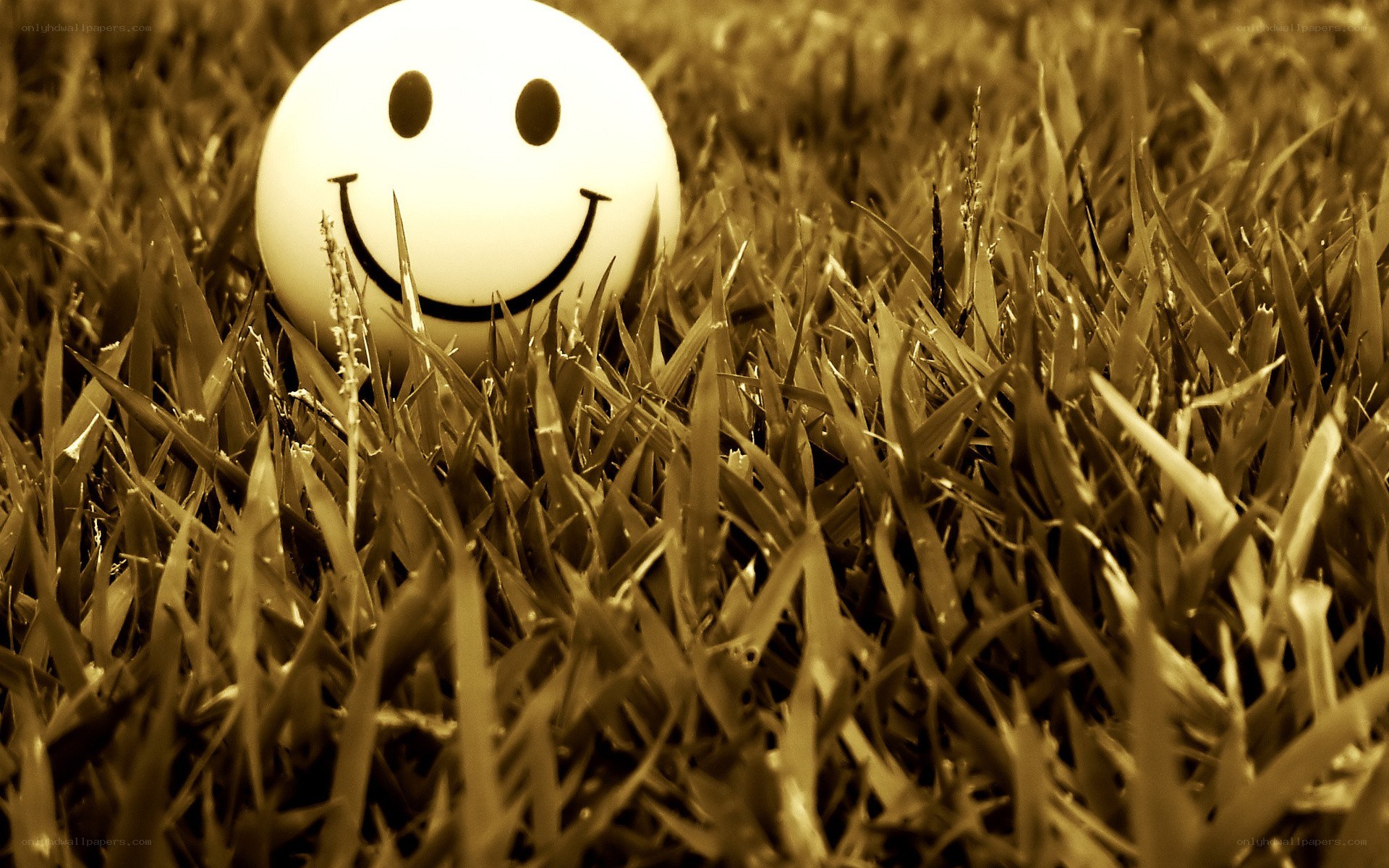 smiley ball in grass