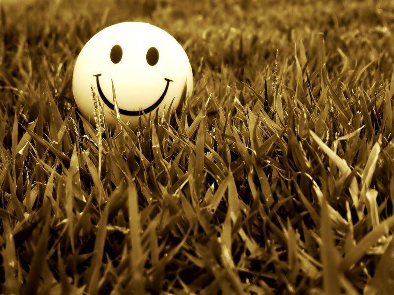 Smiley Ball in Grass — Brown, Calm, Photograph