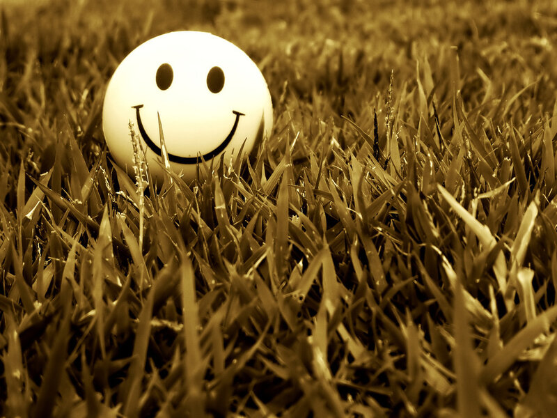 Smiley Ball in Grass — Brown