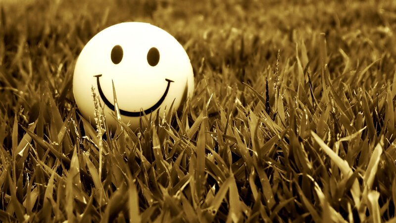 Smiley Ball in Grass — Calm