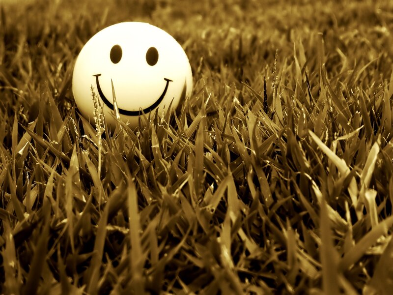 Smiley ball in grass