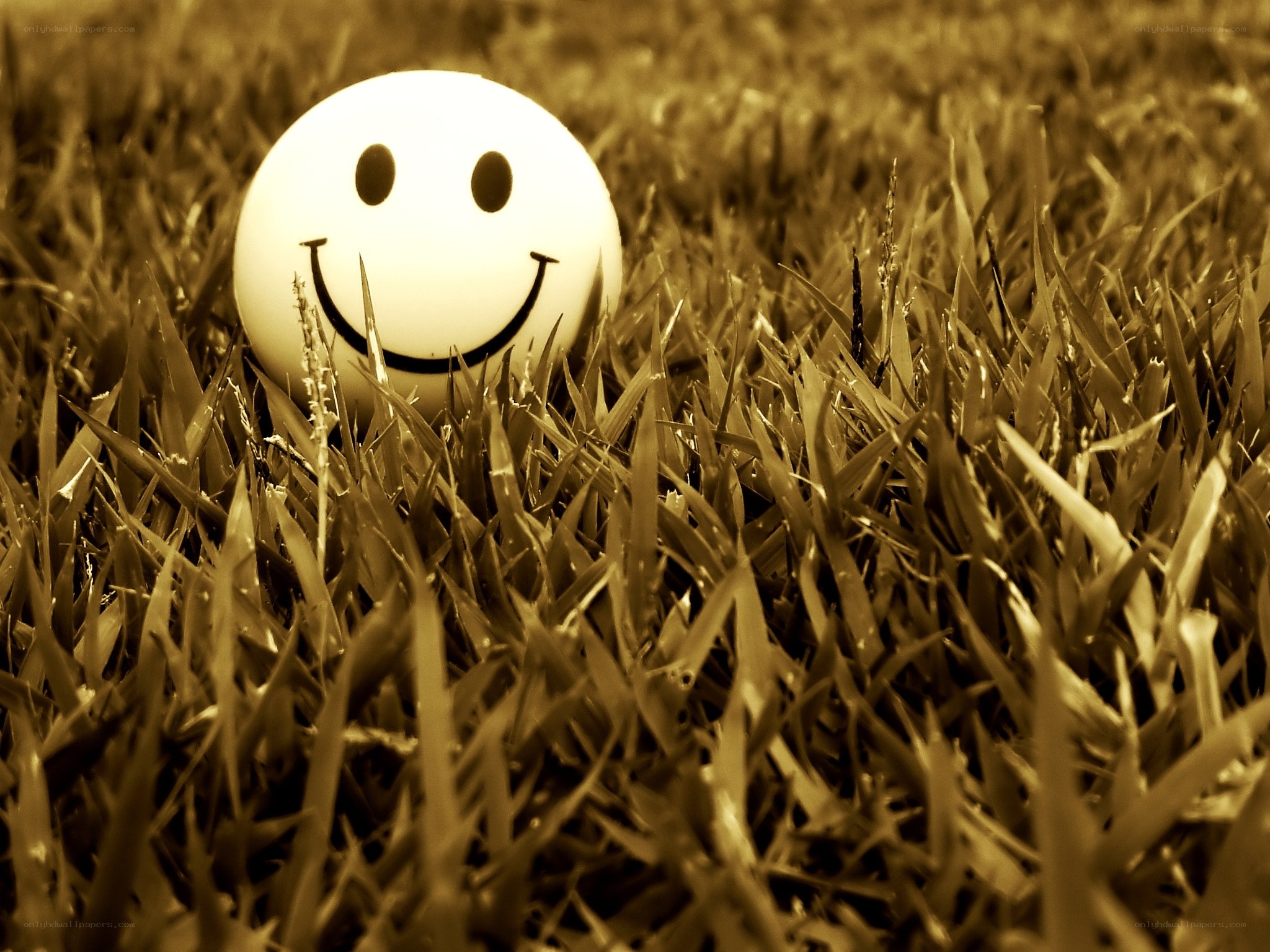 Smiley ball in grass