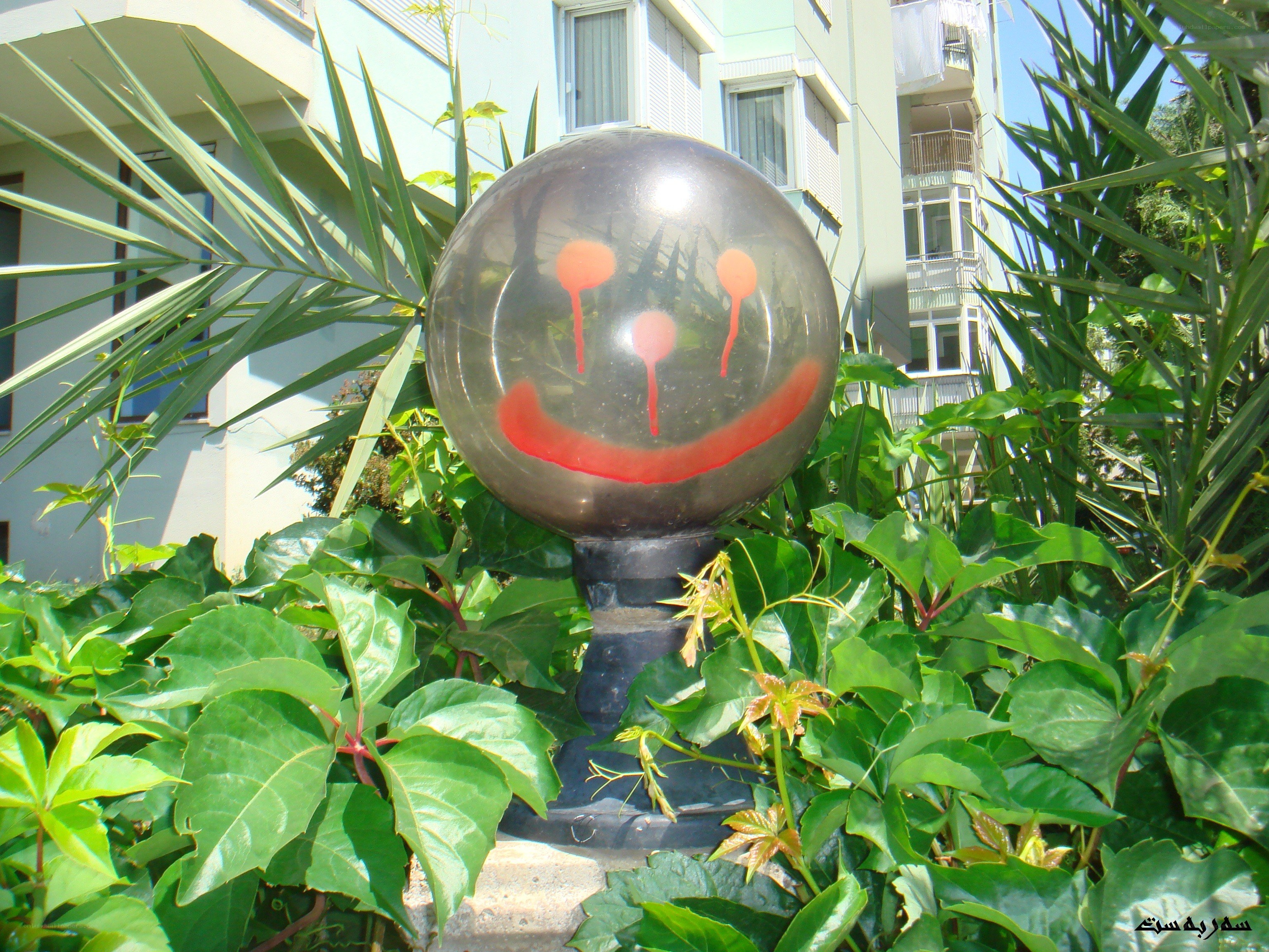 Smiley face balloon in garden