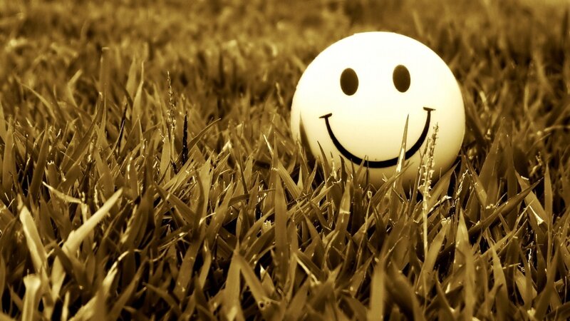 Smiley face in grass