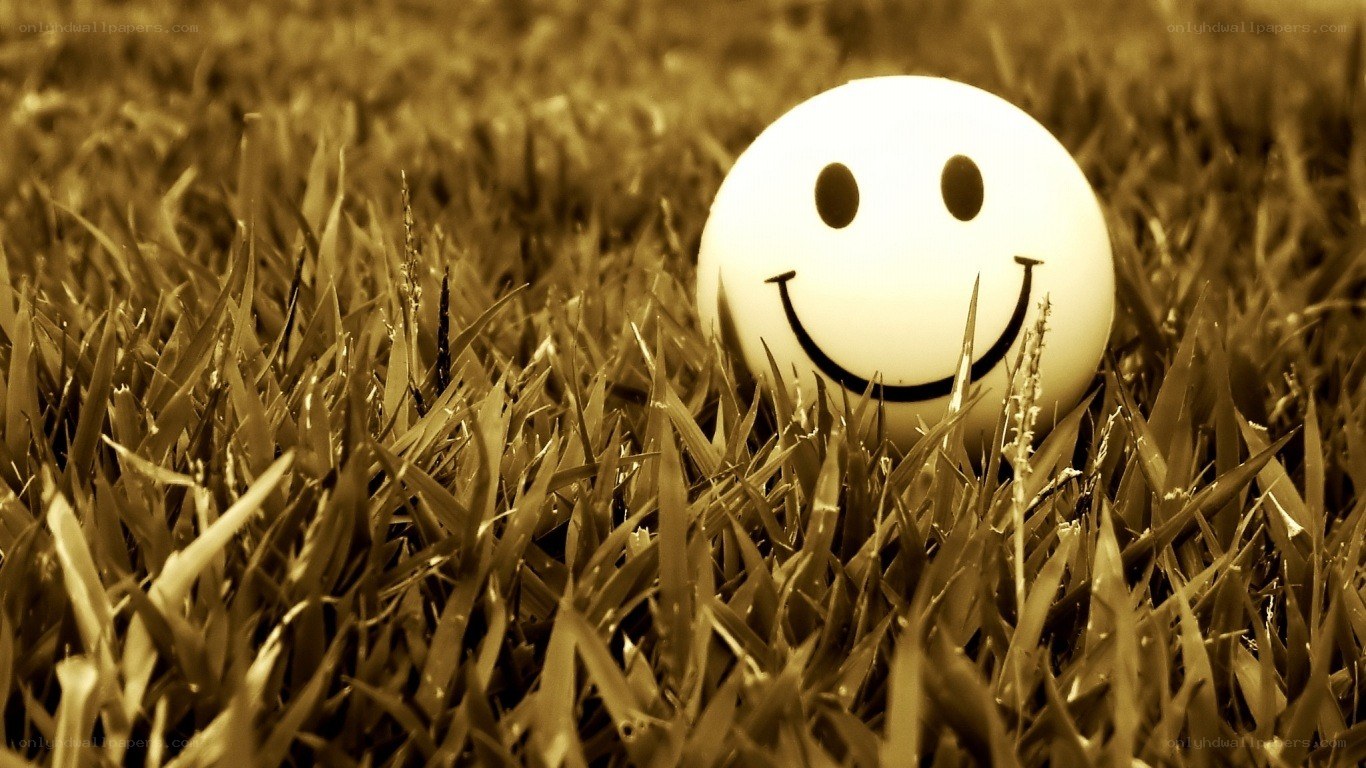Smiley face in grass