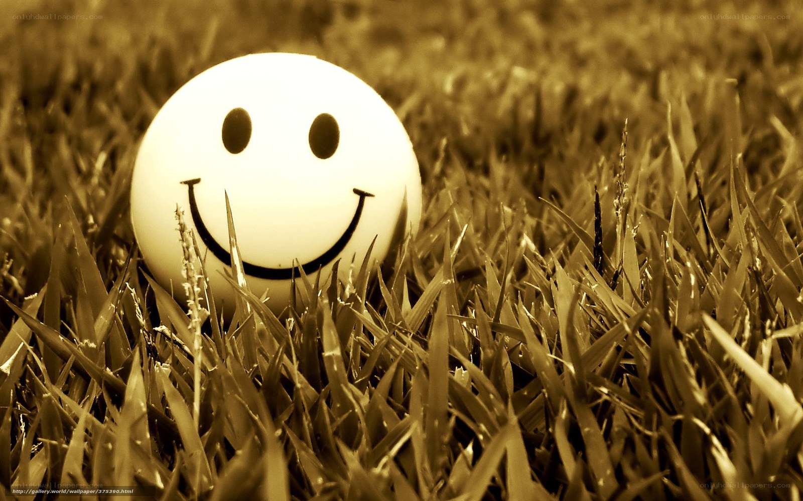 smiley face in grass