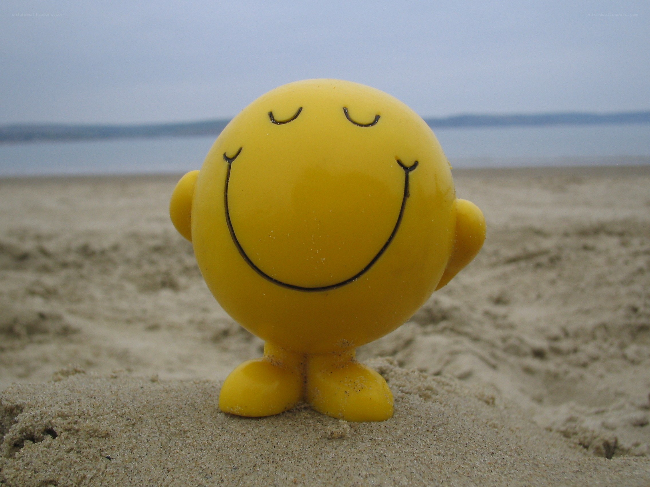 Smiley toy on the beach