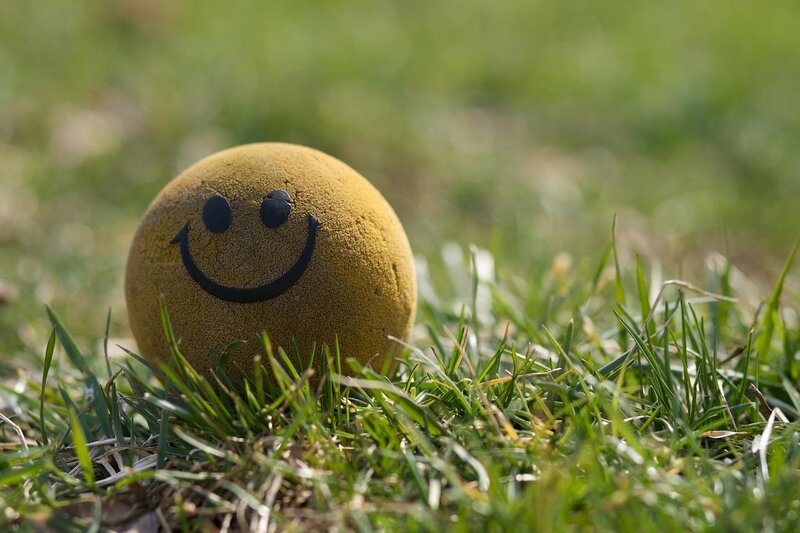 Smiling ball in the grass