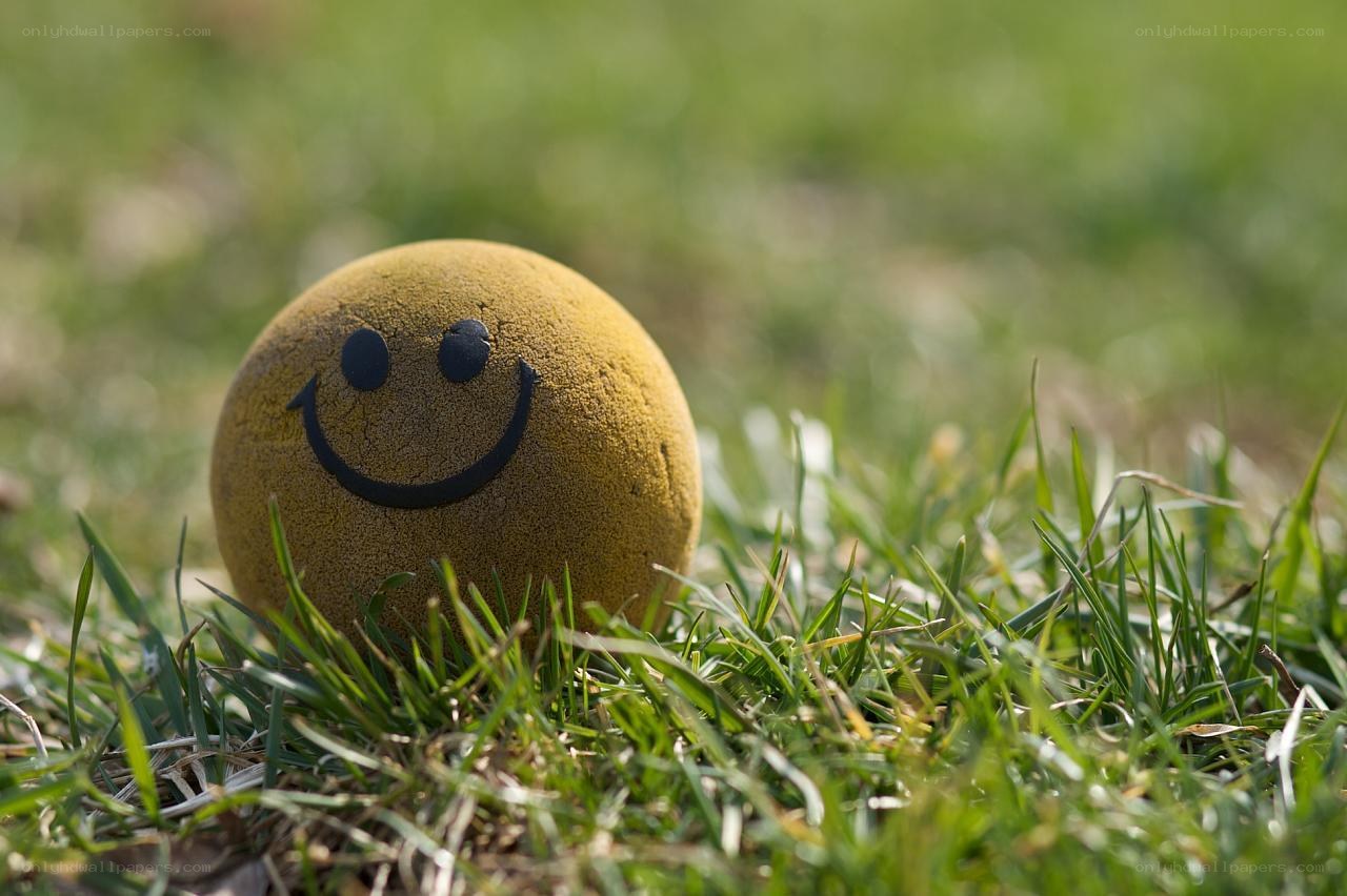 Smiling ball in the grass