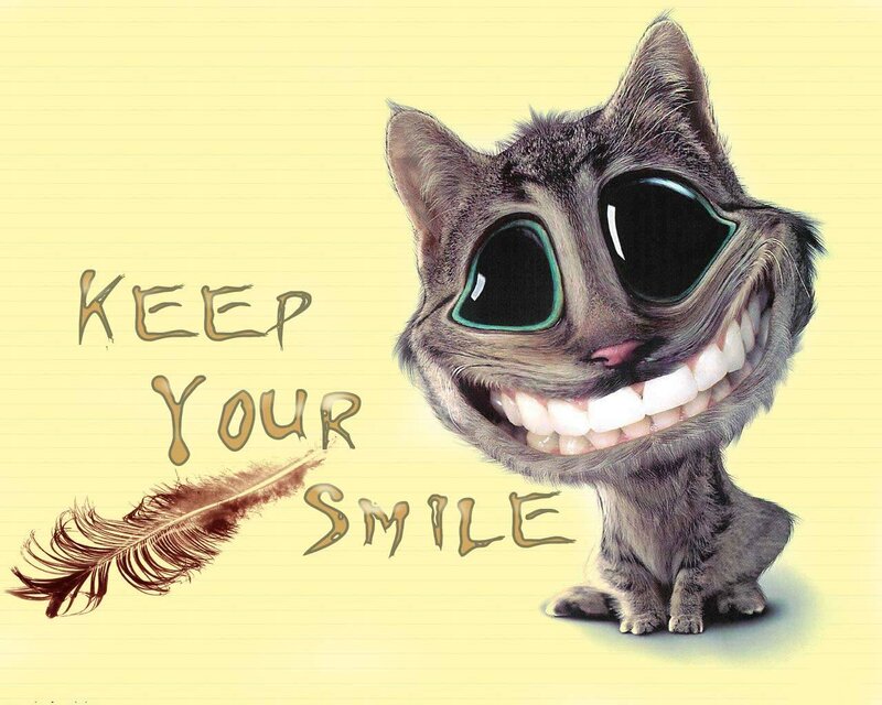 smiling cat with text