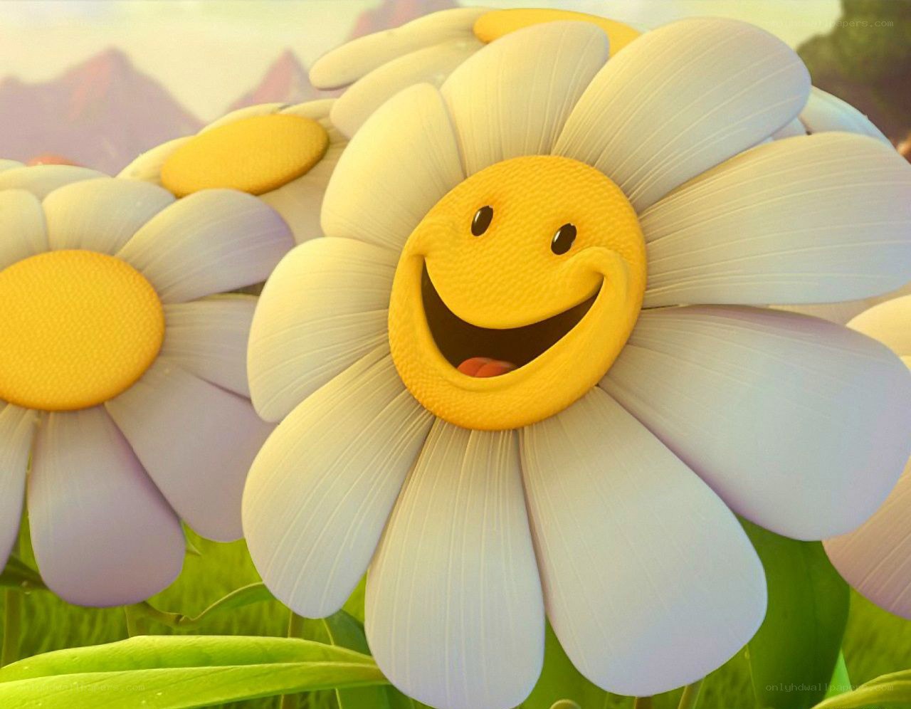 Smiling daisies in a field