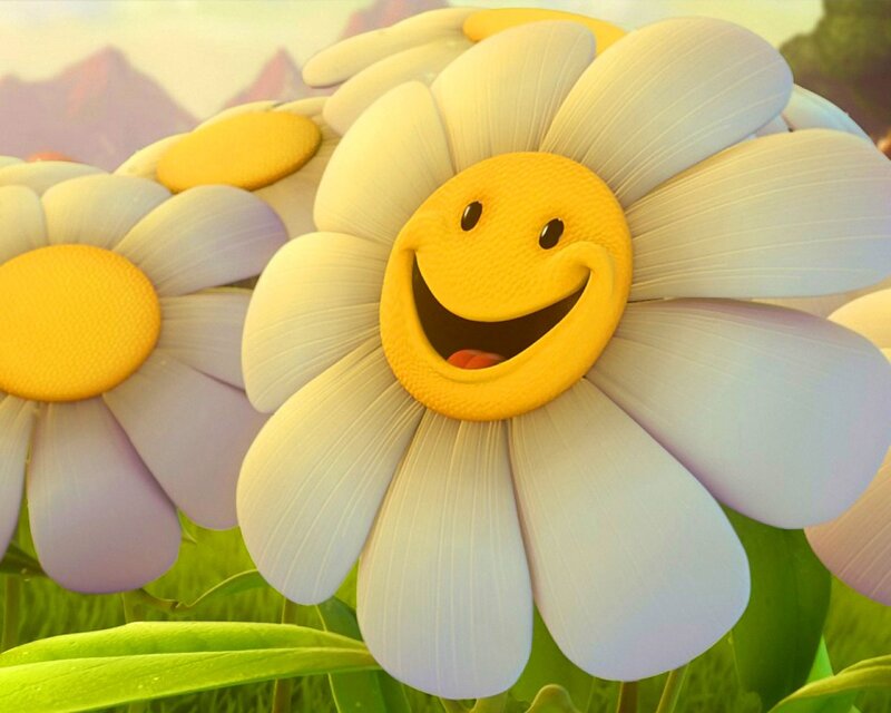 Smiling Daisy Flowers — White, Cheerful, Afternoon
