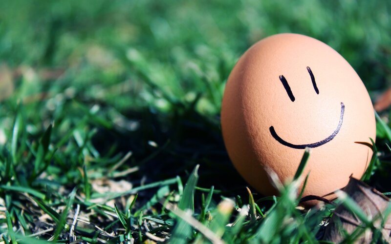 Smiling egg in grass