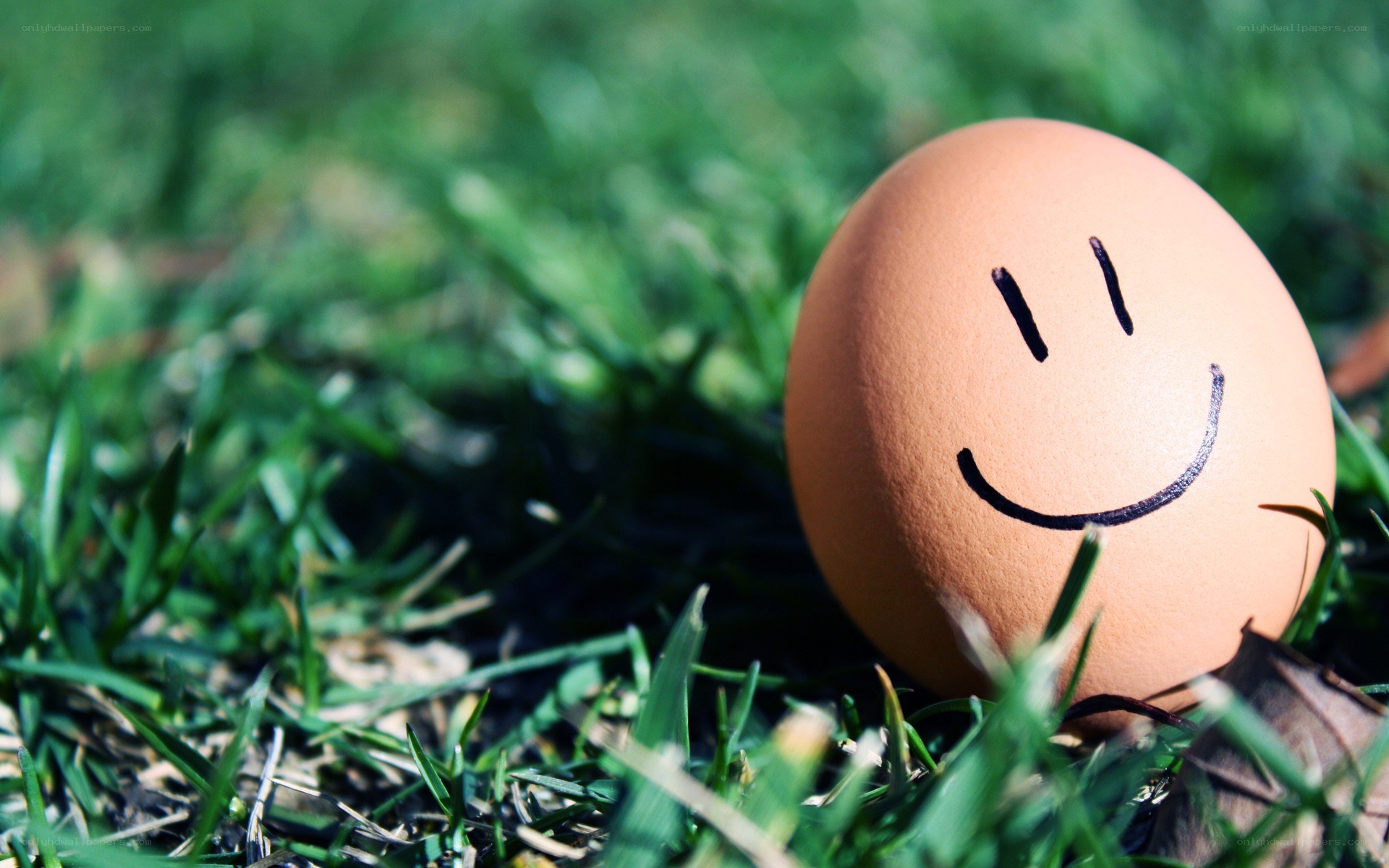 Smiling egg in grass