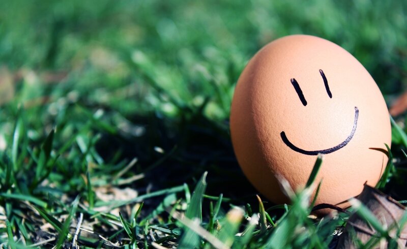 Smiling egg in grass