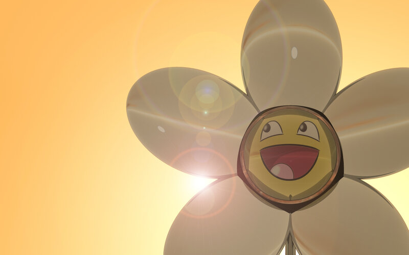 Smiling flower in sunlight
