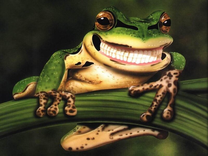 Smiling green frog on a leaf