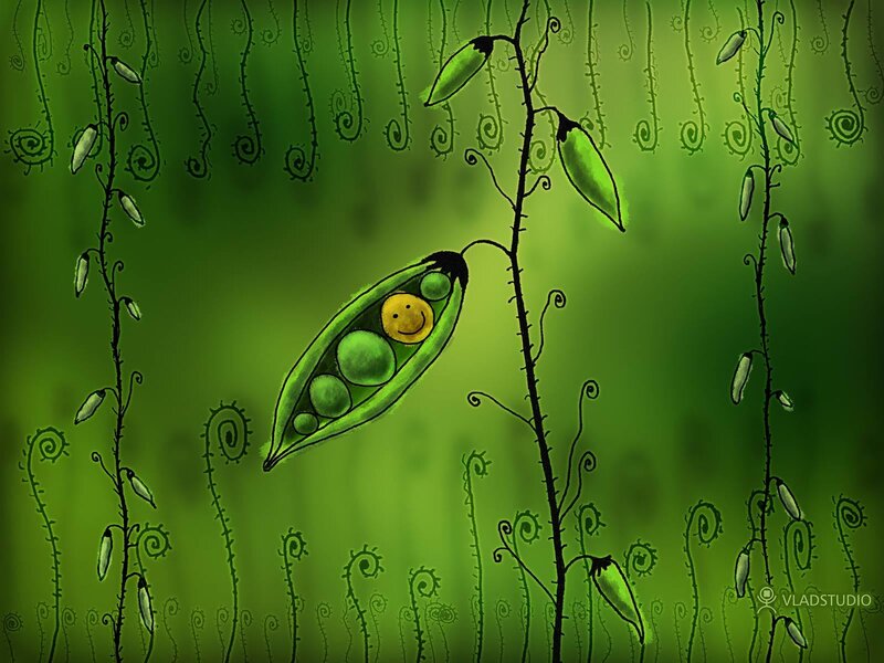 Smiling pea in a pod