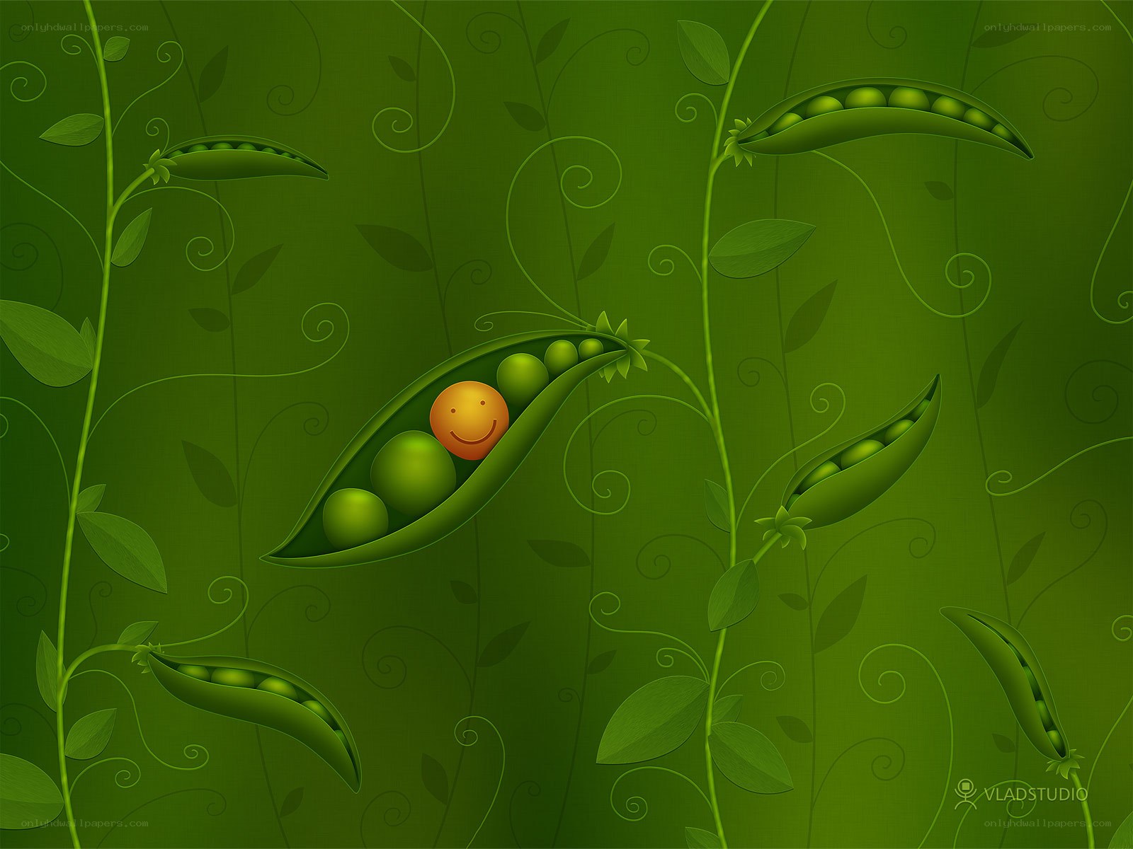Smiling pea in a pod