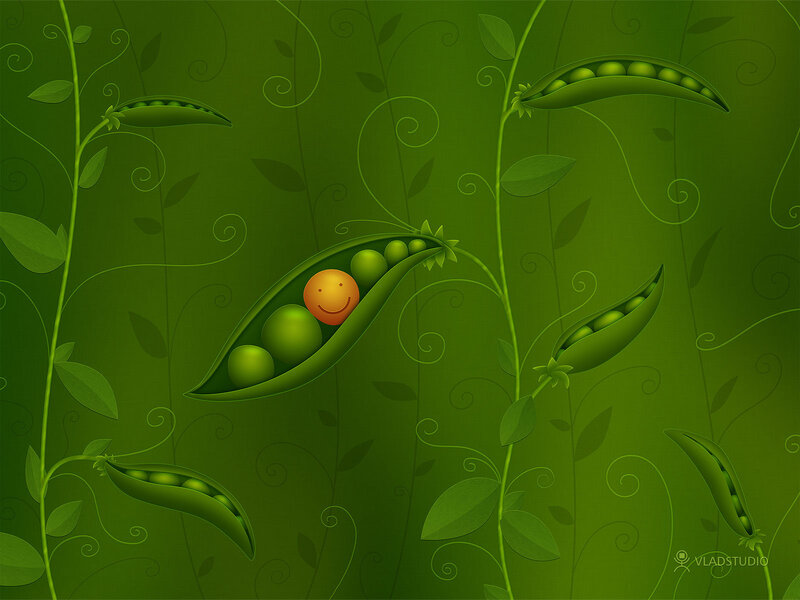 Smiling Pea in Pod — Green