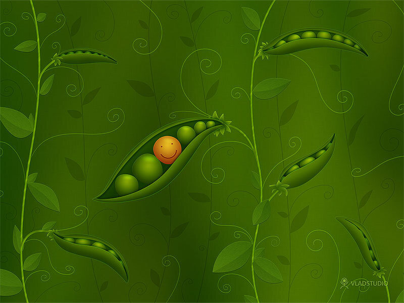Smiling Pea in Pod