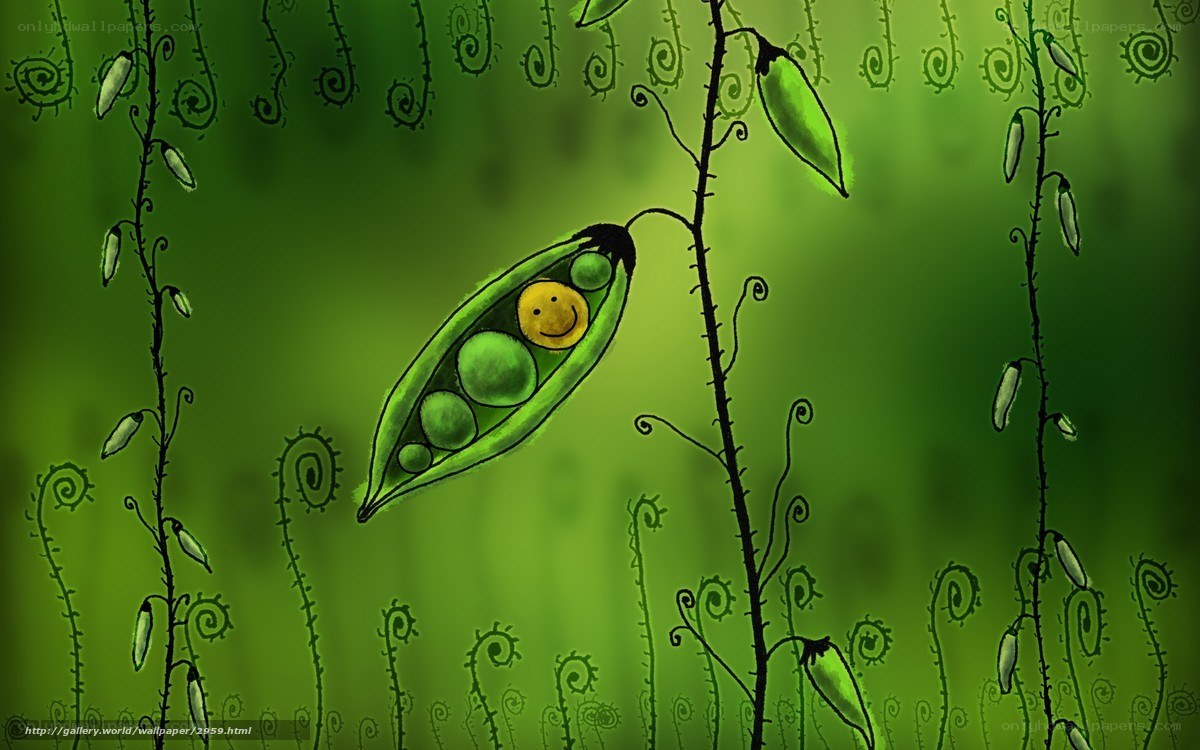Smiling pea pod in garden