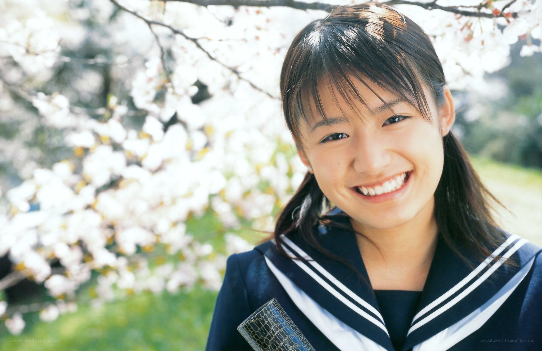 smiling student in cherry blossoms