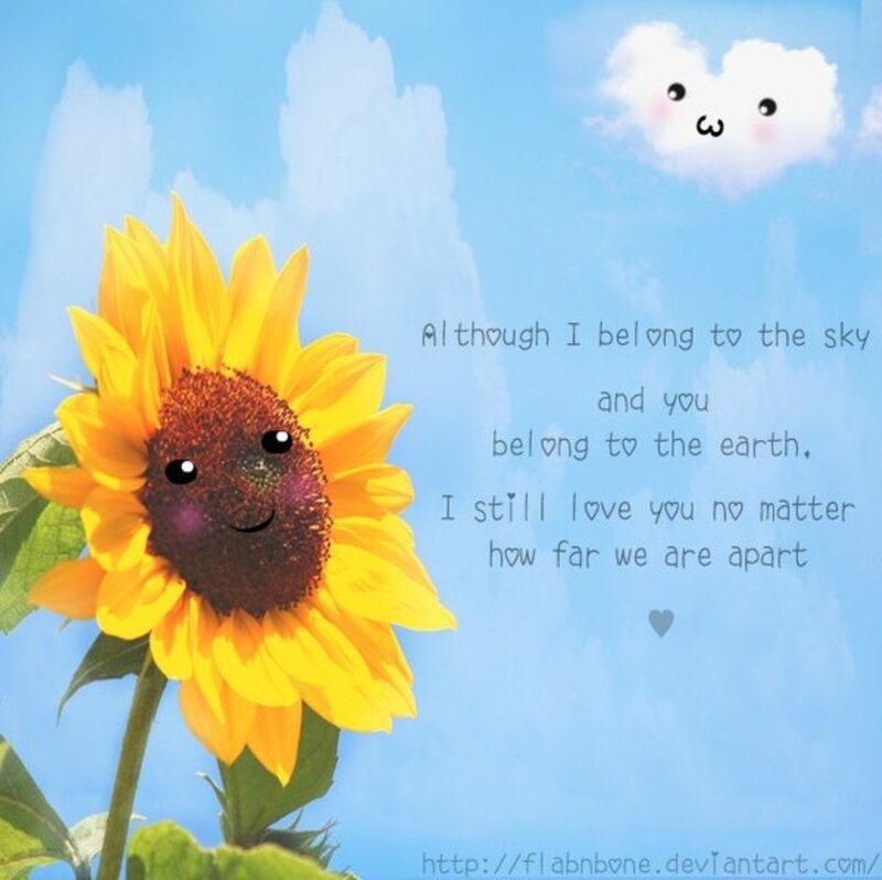 Smiling Sunflower