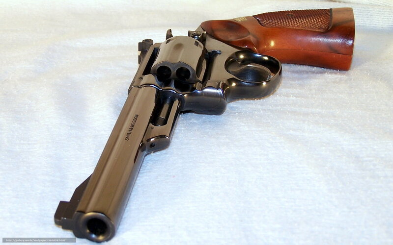 Smith & Wesson Revolver — Brown, Neutral, Photograph