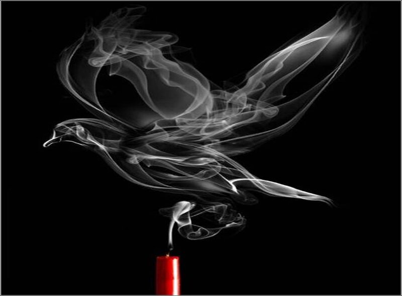 Smoke Bird Shape